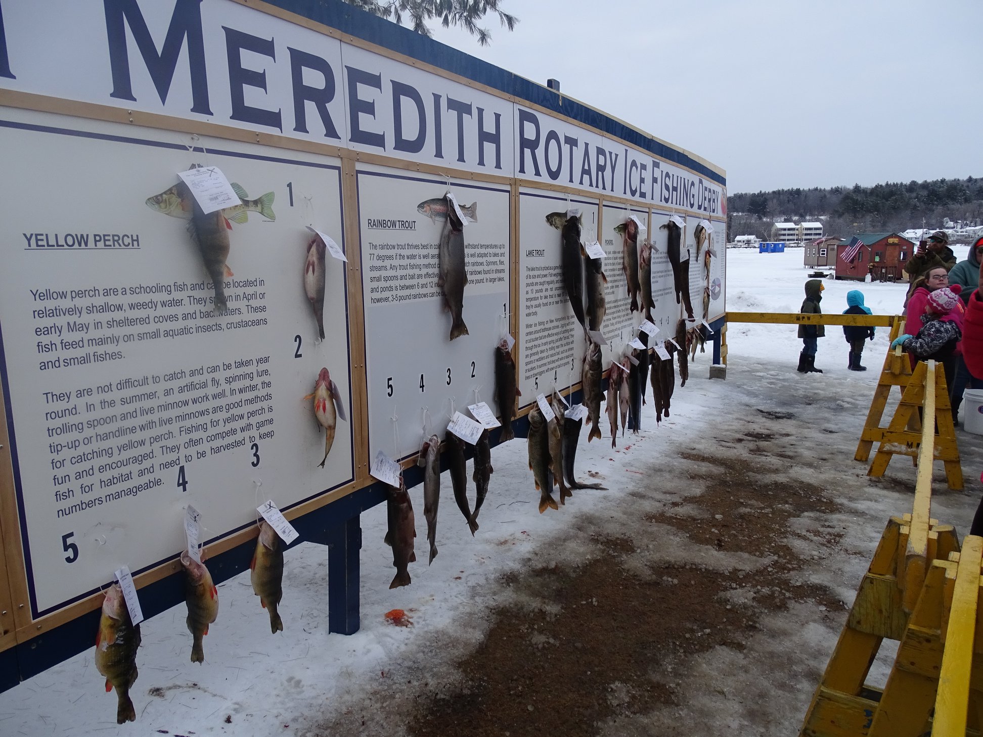 Join Us at the Great Meredith Rotary Ice Fishing Derby February 1213