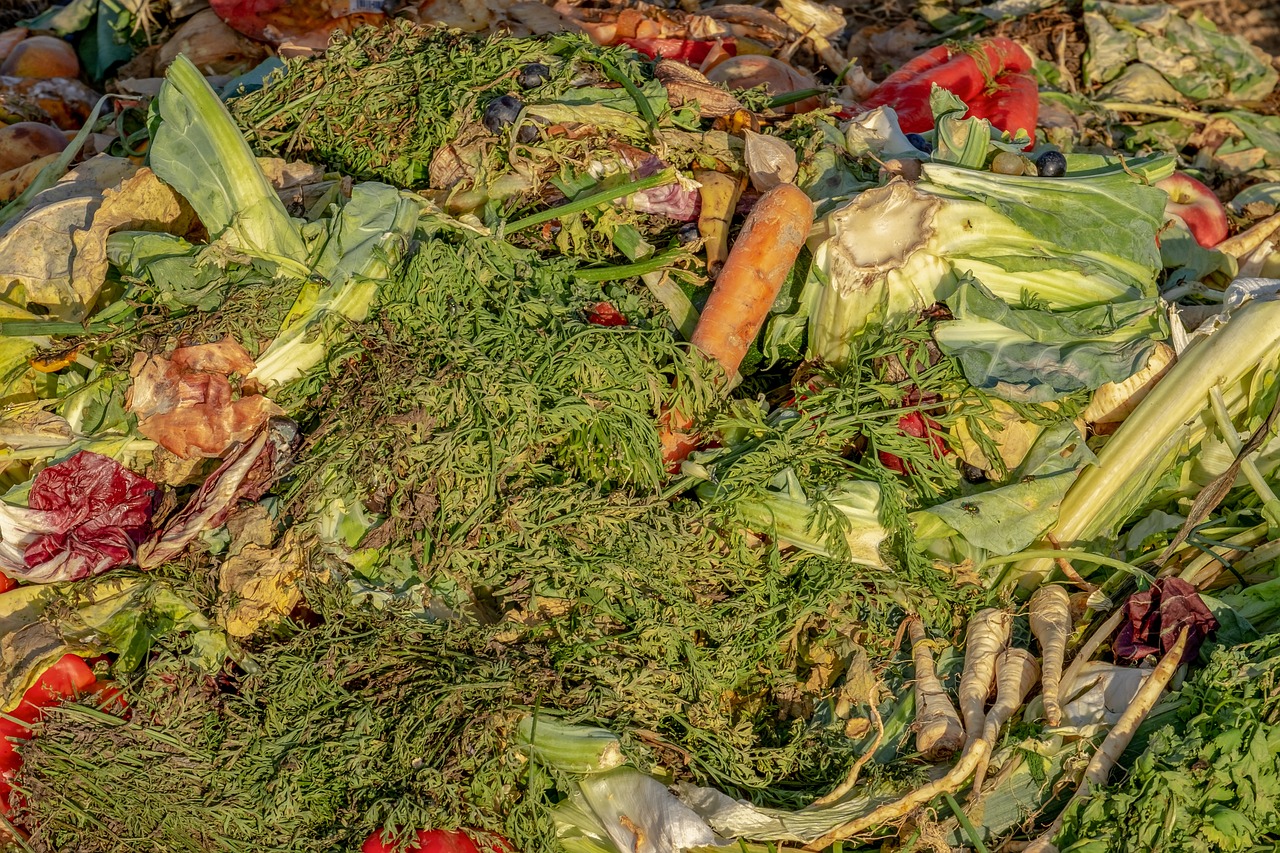 Bow Looks to Lebanon for Inspiration for Composting Program