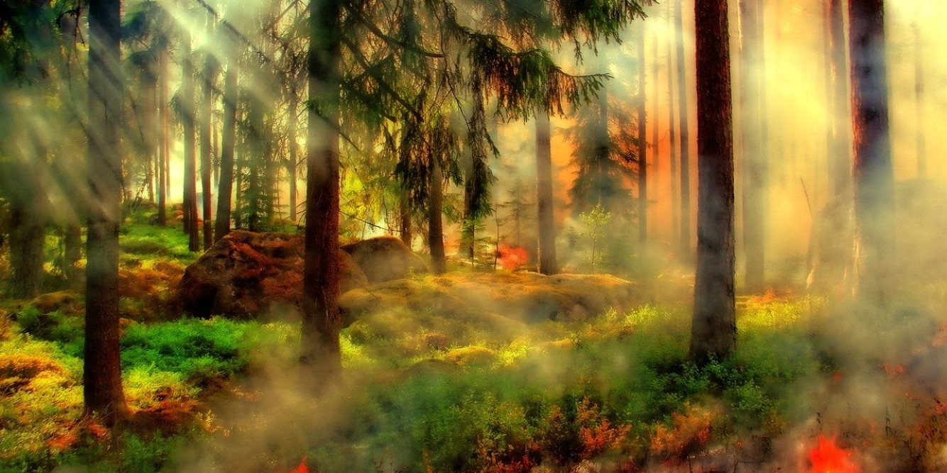 Elevated Fire Danger Today