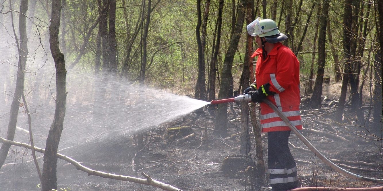Downed Wires Cause Five Alarm Brush Fire