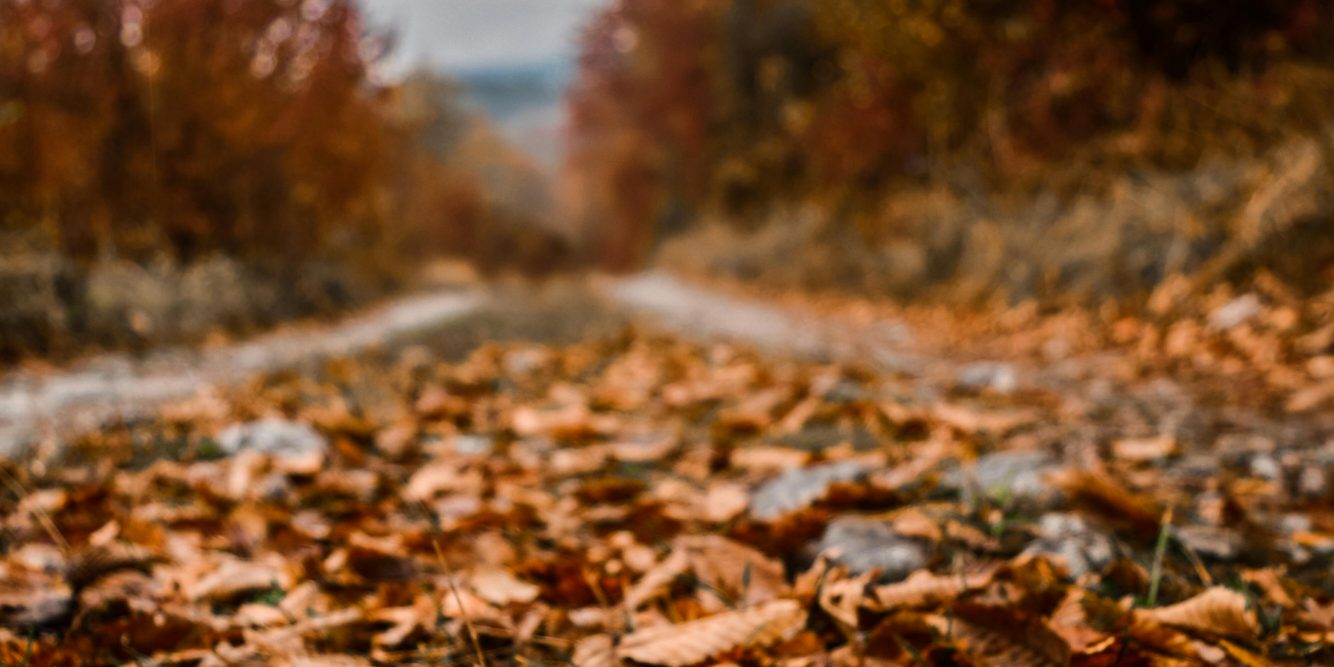 Most Of NH Remains In A Drought