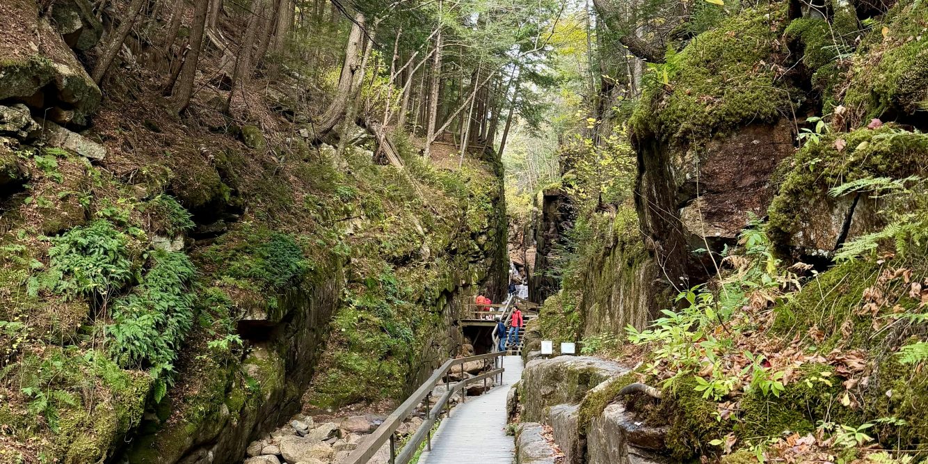 Stranded Hikers Rescued