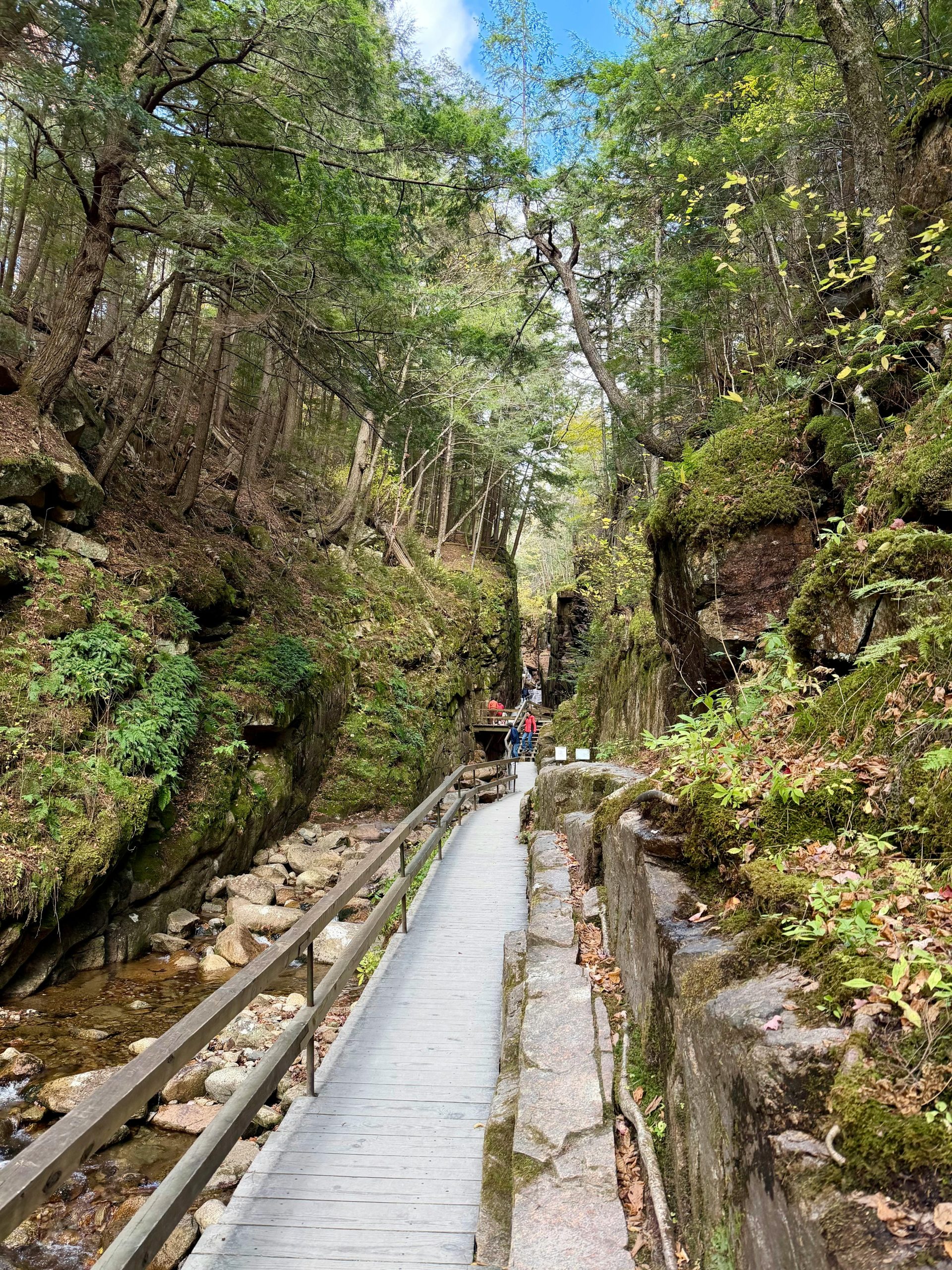 Stranded Hikers Rescued