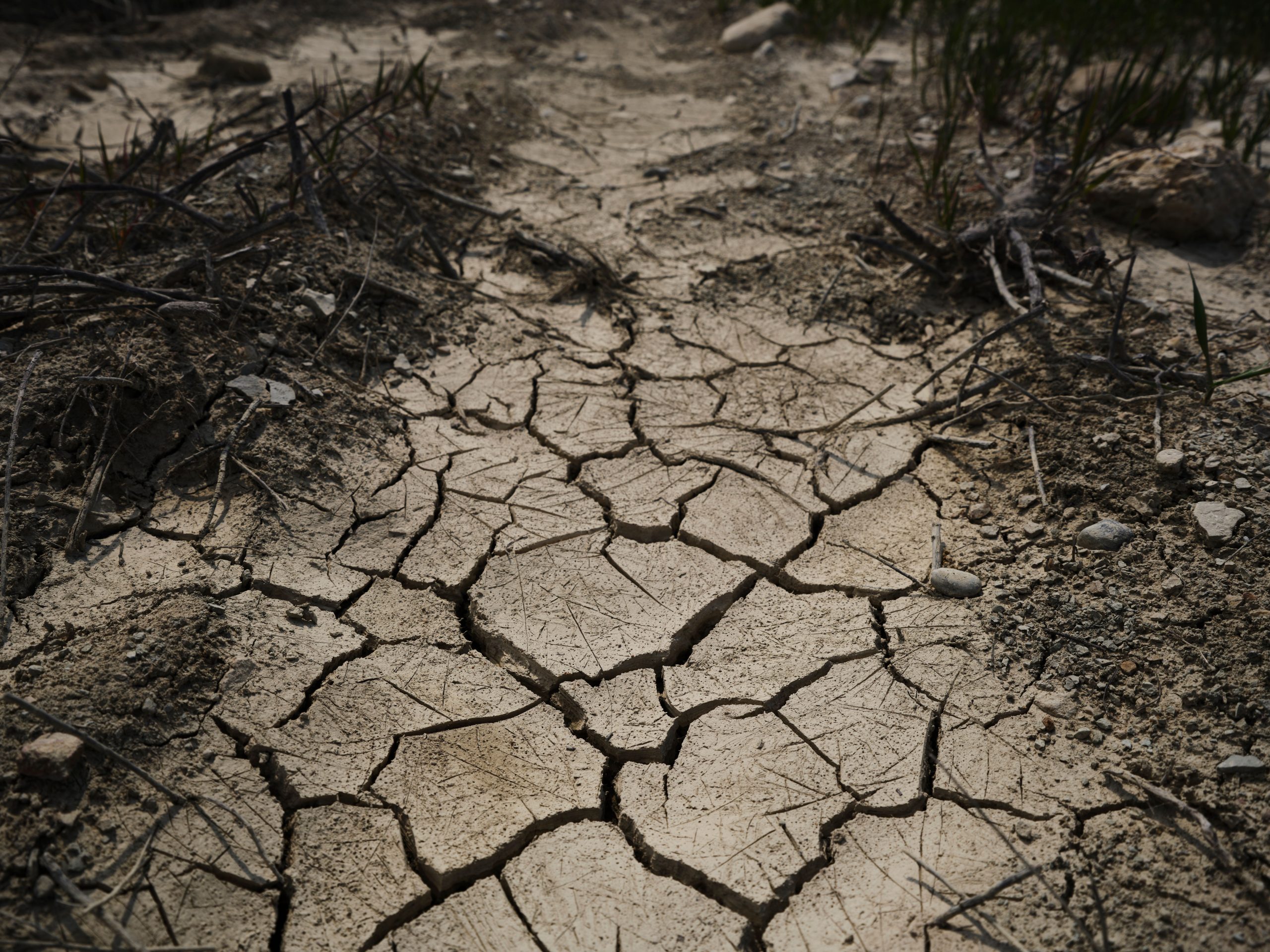 Slight Improvement In NH Drought Conditions