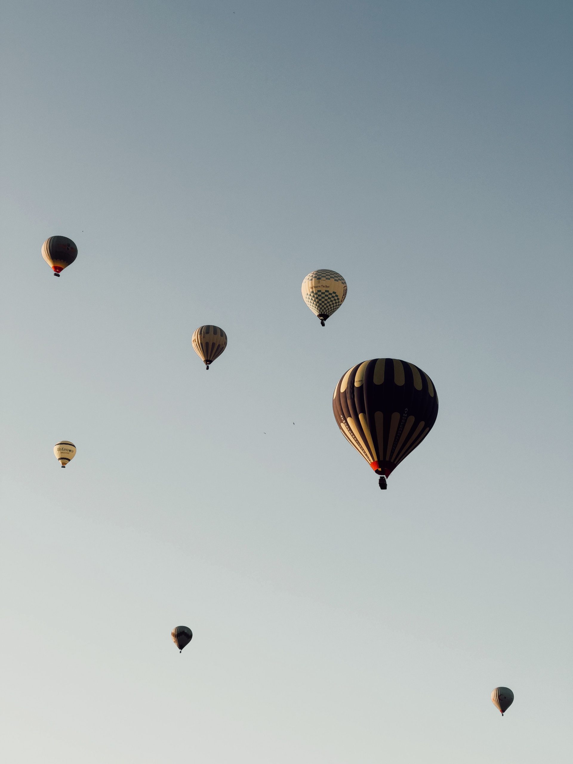 Remote Controlled Balloon Malfunctions, Catches Fire At Hot Air Balloon Event In Pittsfield
